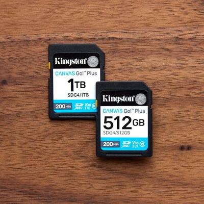 Kingston Canvas Go! Plus microSDXC-kaart 64 GB Class 10 UHS-I - thumbnail