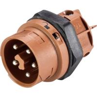 Wieland Electric 46.052.5050.4 Ronde connector Stekker, inbouw Totaal aantal polen: 5 Serie (ronde connectoren): RST® MINI 1 stuk(s) - thumbnail