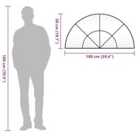 VidaXL Wandspiegel boog 100x50 cm ijzer zwart - thumbnail