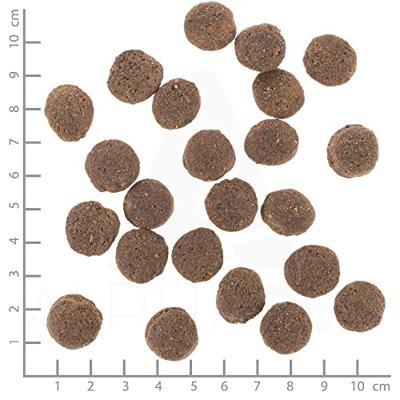 WOLFSBLUT VetLine Hypoallergenic Horse - droog hondenvoer - 12kg