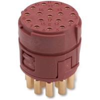 EPIC Signal M23 E inzetstukken, 17-polig 73018500 Lapp Zubehör LAPP Inhoud: 5 stuk(s) - thumbnail