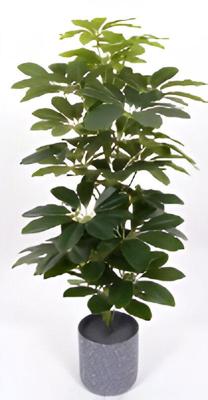 Scheffelera arboricola 70 cm kunstplant Oosterik Home - Oosterik home