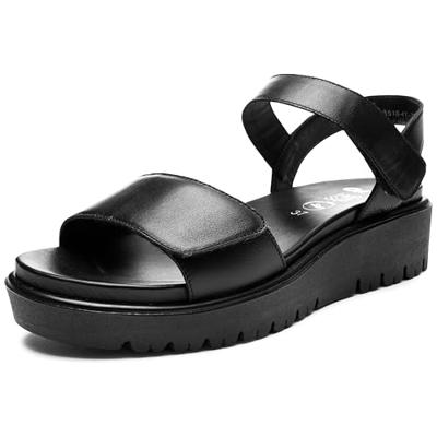 Ara 1233518 - alle Ara 1233518 - alle