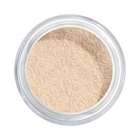Artdeco Translucent Loose Powder 8 g 02 Translucent Light Gezichtspoeder - thumbnail