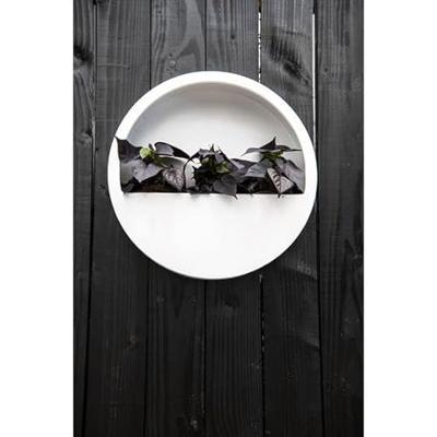 Pottery Pots muurpot wally hang s d40h9 glossy wit