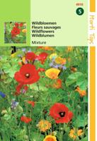 Zaden Wildbloemen gemengd Hortitops - Hortitops - thumbnail