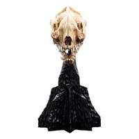 Lord of the Rings Mini Statue Skull of a Warg 20 cm - thumbnail