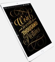 Refurbished iPad Pro 12.9 inch 2017 256 GB 4G Spacegrijs Zichtbaar gebruikt - thumbnail