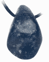 Lapis Lazuli Hanger Geboord - thumbnail