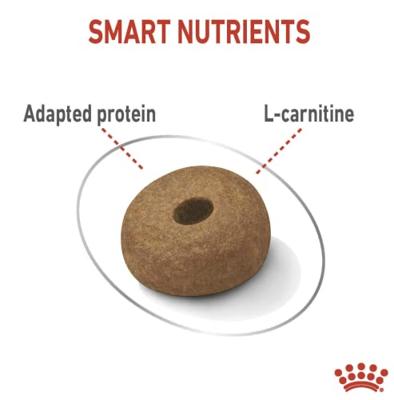 Royal Canin Light Weight Care Maxi hondenvoer 12kg - thumbnail