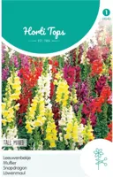 Zaden Antirrhinum Leeuwenbekje hoog gemengd Hortitops - Hortitops - thumbnail