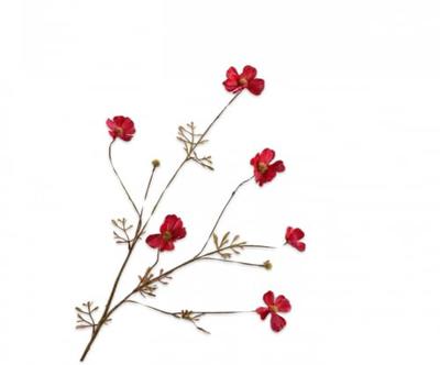 Silk-ka kunsttak cosmos 77cm beauty