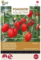 Zaden Pomodori Ravello F1 (cocktailtomaat) Buzzy - Buzzy - thumbnail