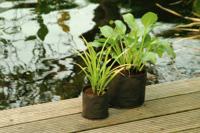 Waterplantzakje d25cm - thumbnail