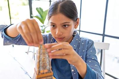 Ravensburger 3D Limited Edition Puzzel de Eiffeltoren 216 Stukjes