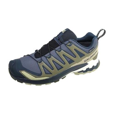 Salomon XA PRO 3D V9 GORE-TEX Lage Wandelschoen Heren India Ink/Olive Night/Aloe Wash 12