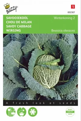 Savooiekool winterkoning 2 2g