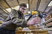 DeWALT D26200 Invalfrees 900Watt - thumbnail