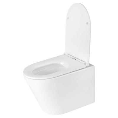Wandtoilet Differnz Met PK Uitgang Rimless Inclusief Toiletbril Glans Wit Differnz Wandtoilet Differnz Met PK Uitgang Rimless Inclusief Toiletbril Glans Wit Differnz