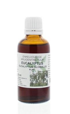 Cruydhof Eucalyptus globulus folia tinctuur 50 Milliliter Cruydhof Eucalyptus globulus folia tinctuur 50 Milliliter