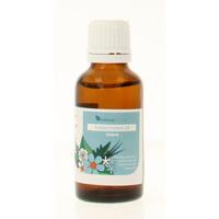 Balancepharma ECT019 Utero Endocrinotox 30 Milliliter - thumbnail