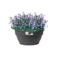 Elho vibia campana schaal d27cm - antraciet - thumbnail