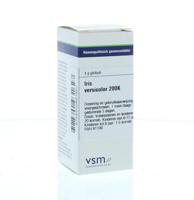 VSM Iris versicolor 200K 4 Gram - thumbnail