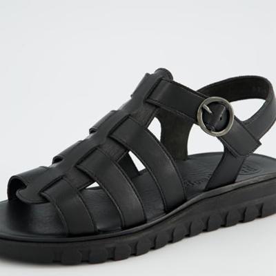 Paul Green 6204 - alle