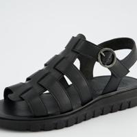 Paul Green 6204 - alle - thumbnail