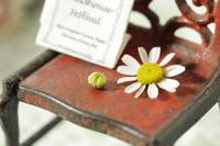 Canon EF 100mm F/2.8L USM IS Macro - thumbnail