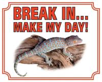Gekko Waakbord - Break in make my day - thumbnail