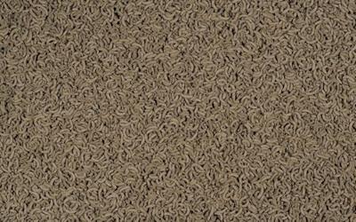 Repto Min menu 250 ml Vis Gebr. de Boon Tetra - Tetra Repto Min menu 250 ml Vis Gebr. de Boon Tetra - Tetra