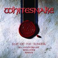 Slip Of The Tongue - CD (0190295409807) - thumbnail