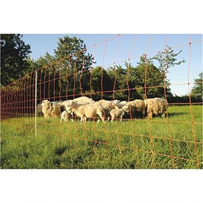 Euro-Net 106 cm dubbelpunt