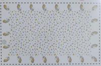 Tafelloper Eenhoorn, 220x13,5cm - thumbnail