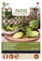 Patio Veggies Romeinse Mini-sla (gemengd) zaden Buzzy - Buzzy - thumbnail