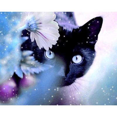 Diamond Painting Canvas Zwarte Kat - 40 x 50 cm