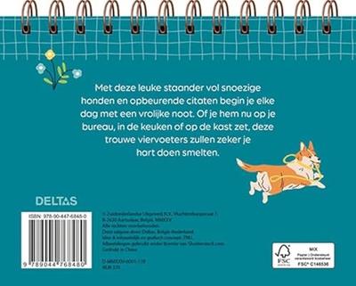 Hondenliefde Inspirerende Citaten En Wijsheden