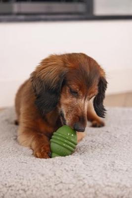 Beeztees Sumo Play S Groen