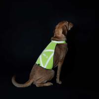 HUNTER Honden-veiligheidsvest Safety, geel, Maat: L - thumbnail