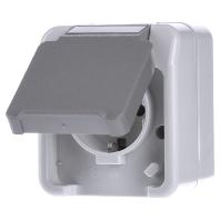 Merten 4074944 AquaStar Compleet Wandcontactdoos met randaarde en klapdeksel spatwaterdicht Lichtgrijs 1-voudig 1 stuk(s) - thumbnail