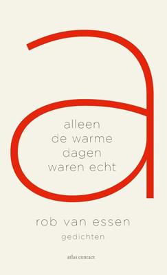Alleen de warme dagen waren echt - Rob van Essen - ebook