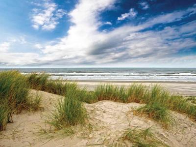 Strand wolk 70x50cm Tuinschilderij Customize-it - Customize it