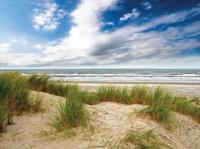 Strand wolk 70x50cm Tuinschilderij Customize-it - Customize it - thumbnail