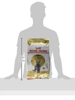 Royal Canin British Shorthair Adult droogvoer voor kat 4 kg Volwassen - thumbnail