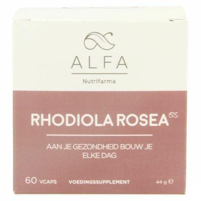 Alfa Rhodiola Rosea 500mg V-caps 60