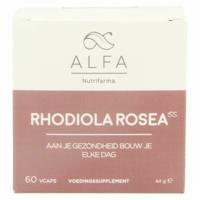 Alfa Rhodiola Rosea 500mg V-caps 60 - thumbnail