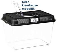 TRIXIE REPTILAND TRANSPORT- EN VOEDERBOX ASSORTI 31X21X21 CM - thumbnail