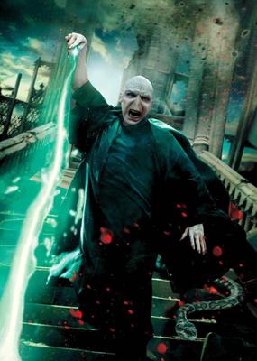 Harry Potter Notebook with 3D-Effect Voldemort Poster