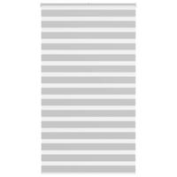 Zebra rolgordijn 120x200 cm stofbreedte 115,9 cm lichtgrijs - thumbnail